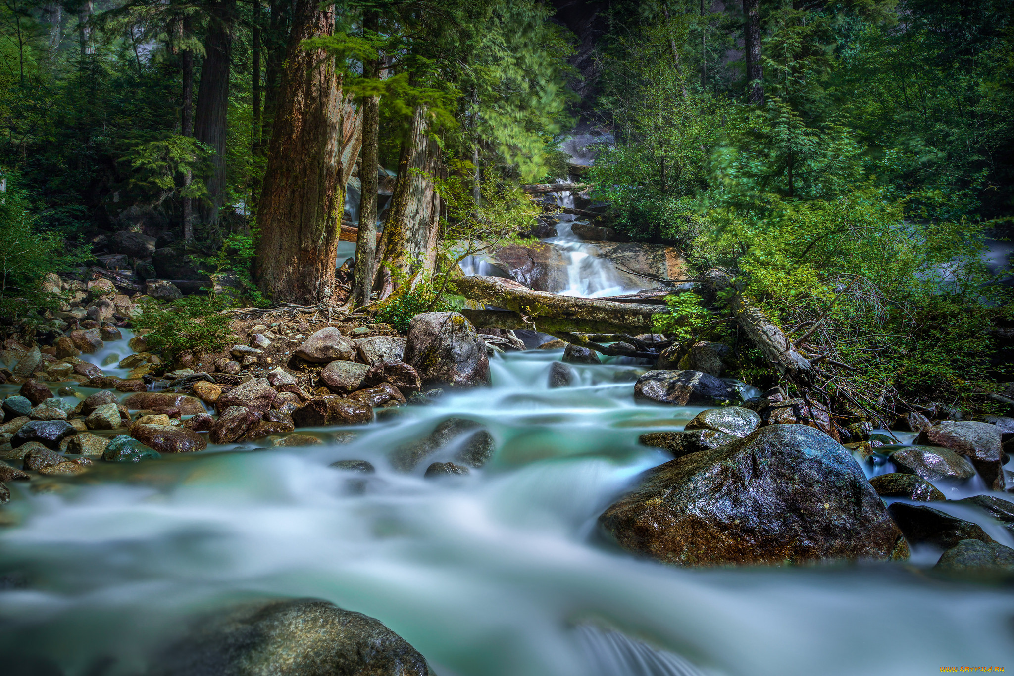 , , autumn, leaves, water, stream, waterfall, , , , , 